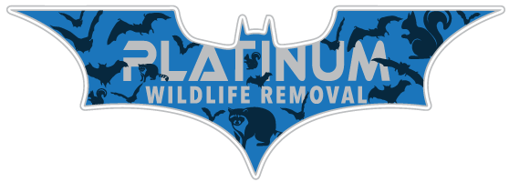 Wildlife Control Monticello